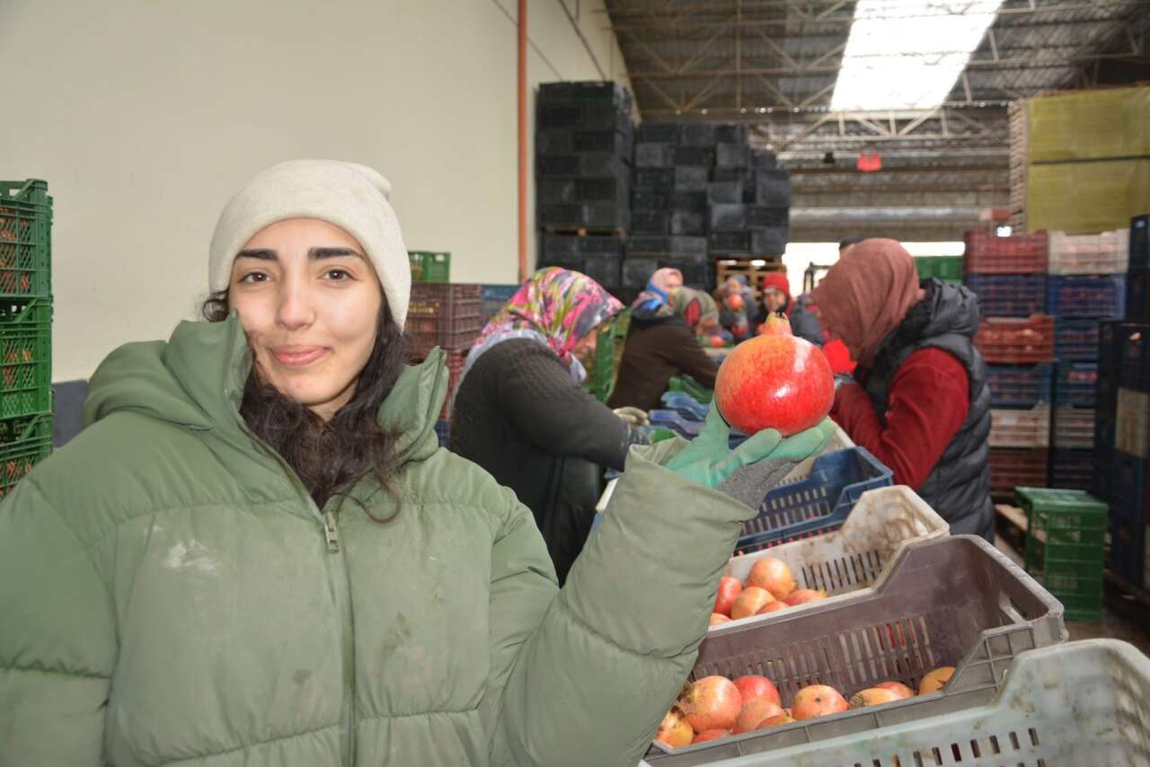 Fethiye Narı, Avrupa ve Rusya Sofralarında 1